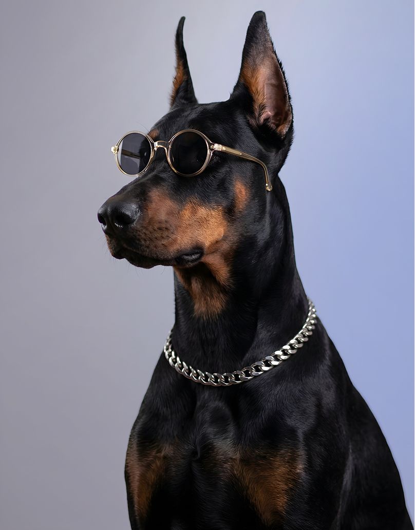 Doggy M.